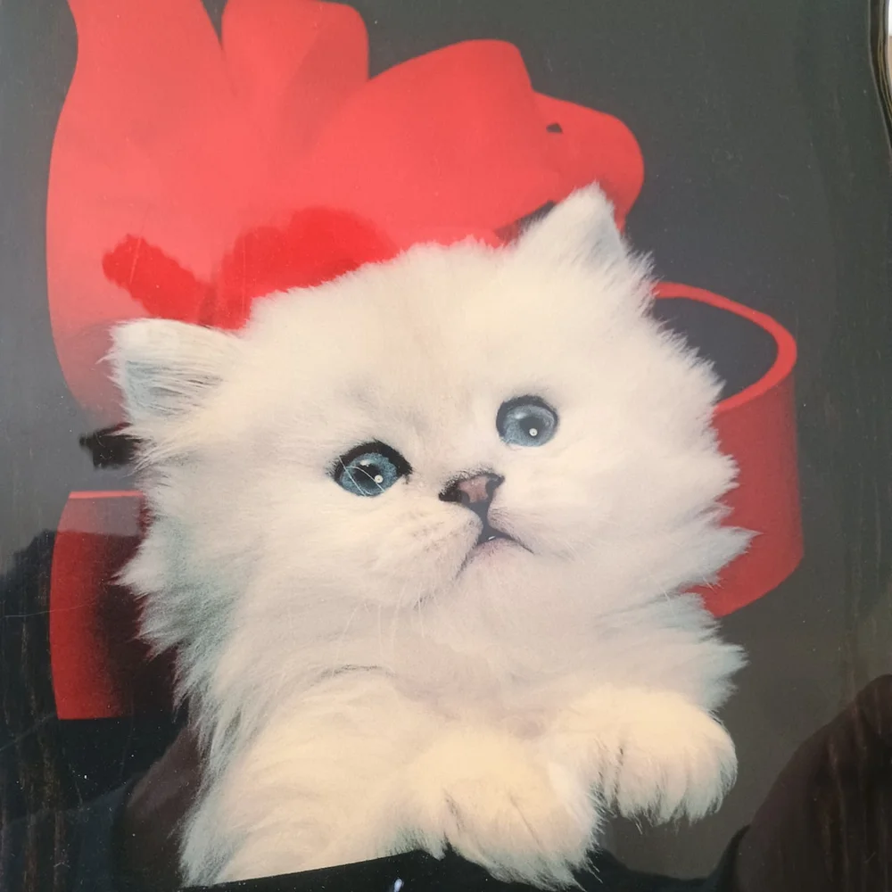 Vintage Lacquered Wood White Persian Cat Kitten W/ Red Bow Plaque